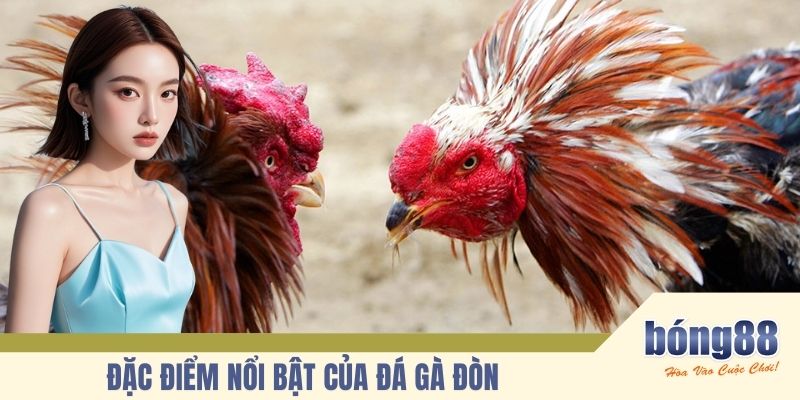 Đặc điểm nổi bật của đá gà đòn