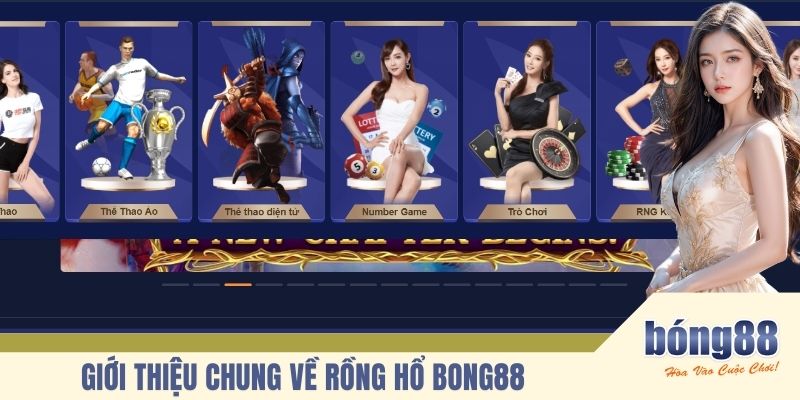 Giới thiệu chung về rồng hổ BONG88