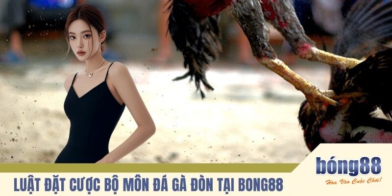 Luật đặt cược bộ môn đá gà đòn tại BONG88