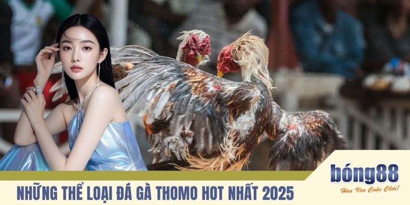 Những thể loại đá gà Thomo hot nhất 2025