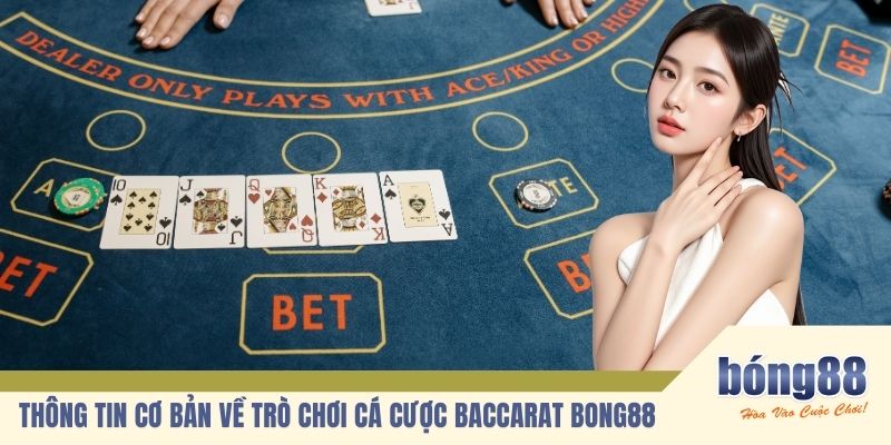 Thông tin cơ bản về trò chơi cá cược live baccarat BONG88