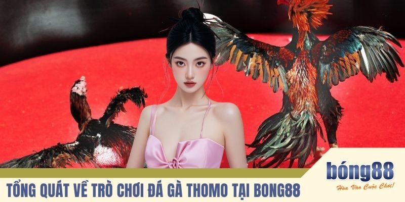 Tổng quát về trò chơi đá gà Thomo tại BONG88